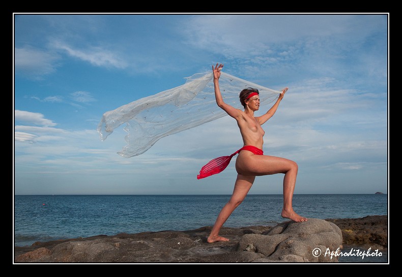057 Le voile aux oiseaux 2